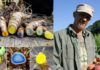 AGRICULTOR RECUPERA VARIEDADES DE CÚRCUMA EN PELIGRO Y DA UN MENSAJE INSPIRADOR PARA LA HUMANIDAD