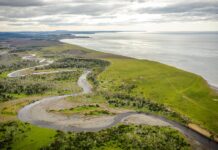 Península Mitre, el mayor turbal del país, combina turismo aventura y ambientalismo