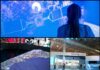 Conectar: una muestra sobre conectividad, reducción de brechas de género e inclusión digital
