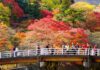 Japón: Destinos de cerezos en flor bajo el radar