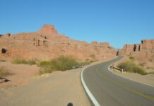 La Ruta Natural: los mejores destinos de naturaleza de Argentina en una nueva web