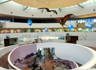 Tres museos imperdibles de Córdoba para disfrutar el fin de semana largo