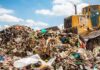 La ONU pide una legislación más estricta para los crímenes contra el medio ambiente