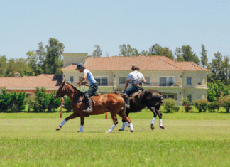 Sheraton Buenos Aires Greenville Polo & Resort: lujo, polo y naturaleza a minutos de la ciudad