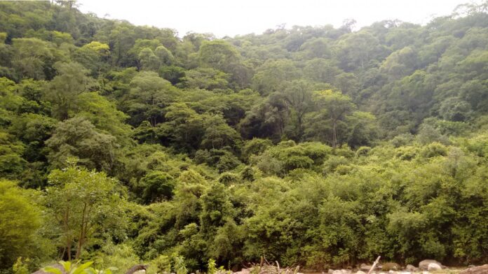 Captura de pantalla_28-10-2025_121737_www.argentina.gob.ar