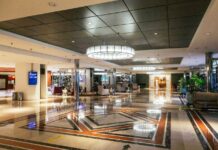 Gig tripping: viajar al ritmo de la música, una tendencia que pisa fuerte en Argentina