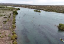 Un recorrido por los tesoros ribereños de La Pampa