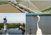 El Magdalena: el gran río que le dio vida a Colombia y a Barranquilla