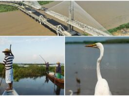 El Magdalena: el gran río que le dio vida a Colombia y a Barranquilla