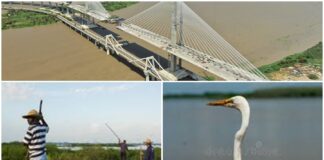 El Magdalena: el gran río que le dio vida a Colombia y a Barranquilla