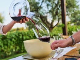 Bodegas argentinas buscan reinventarse ante la caída en el consumo de vino