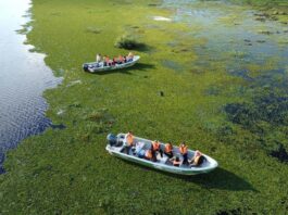 Vacaciones de invierno: Corrientes apuesta a la naturaleza, la pesca, la fe y la cultura para consolidarse entre los destinos más elegidos del país