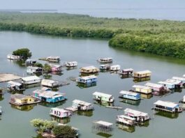 Santa Marta: La orquestación silenciosa de un destino con alma