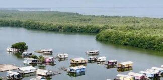 Santa Marta: La orquestación silenciosa de un destino con alma