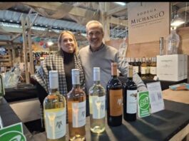 Bodega Michango: un legado centenario al pie del cerro El Manchao
