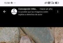 Más allá del sello: la ética biodinámica que define el alma de Viñedos Concepción
